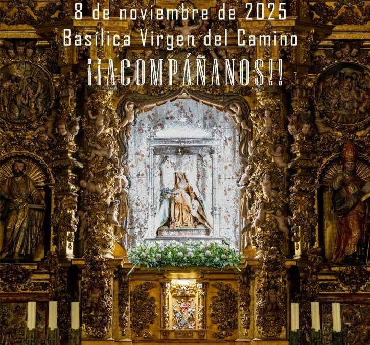 Jubileo Diocesano de Cofradías